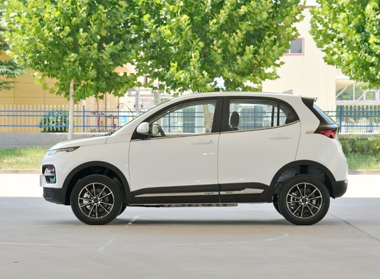 Dayun Yuehu Es3 Ev Elektrofahrzeug mit individuellen Optionen und Langstreckenfähigkeit
