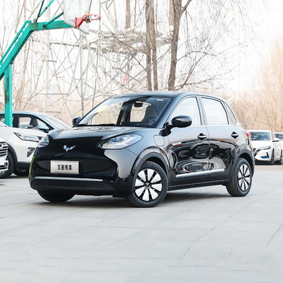 27kw Maximalleistung 203km Reichweite Wuling Binguo 203 Kleine Energie reine elektrische Mini EV Auto