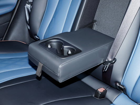 405 Km reine Elektroautos Ausdauerautos Byd Dolphin mit Lithium-Eisen-Phosphat-Batterie