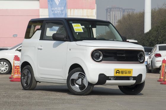 200 km reine elektrische Kreuzfahrt Reichweite km Geely Panda Mini Elektroauto Maximale Leistung kw 40