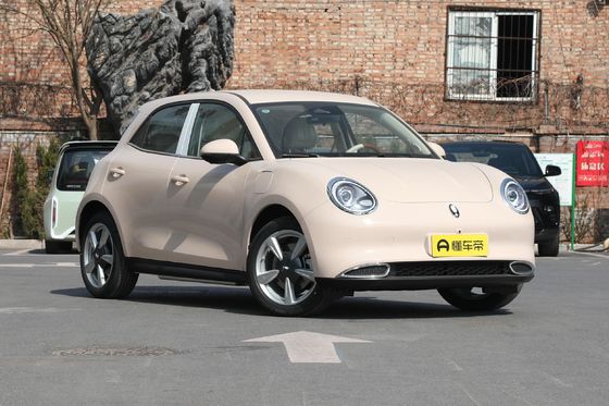 Oula Haomao Mini Baby Elektroauto Ora Good Cat Vierradfahrzeug 1740 Gewicht