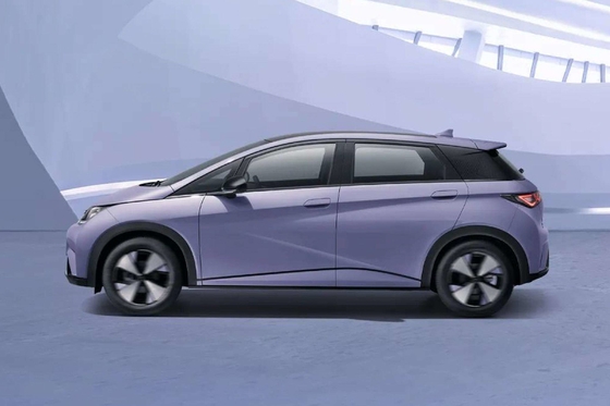 Rein elektrisches Byd Haitun Delphin Energiefahrzeug mit Lithium-Eisen-Phosphat-Batterie